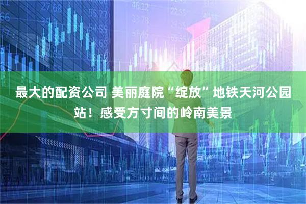 最大的配资公司 美丽庭院“绽放”地铁天河公园站！感受方寸间的岭南美景